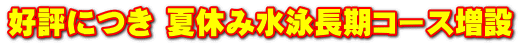好評につき 夏休み水泳長期コース増設